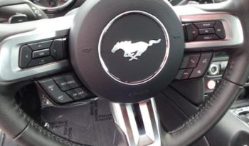 2015 Ford Mustang EcoBoost full