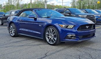 2015 Ford Mustang GT Premium 5.0L V8 full